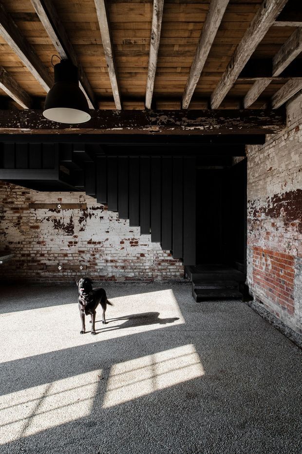 A dark, industrial-style interior with exposed aged timber roof beams, weathered white-painted brick walls, and a black-painted staircase leading to a shadowed upper level. A large black pendant light hangs from the ceiling, while sunlight streams across the textured grey floor. A black dog stands in the open area.