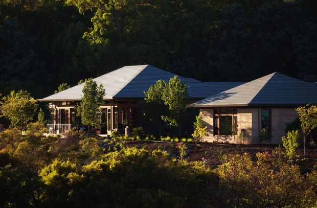 Single-storey contemporary house set within dense, landscaped vegetation. The building has multiple low-pitched hipped metal roof volumes, extensive glazed openings, timber-toned wall surfaces, and a small covered entry or terrace. Warm late-day sunlight highlights the facade and garden, with dark woodland forming the background.