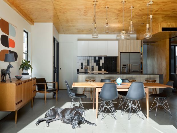 A bright open-plan kitchen and dining area with a warm plywood-lined ceiling and integrated timber joinery. The kitchen has white upper cabinetry, timber-toned lower cabinetry and wall panels, a dark geometric tiled splashback, stainless steel appliances, and a central island. A timber dining table with multiple mid-century-inspired chairs occupies the foreground, with pendant lights hanging overhead. A timber sideboard, artwork, plants, and a dog add residential character.
