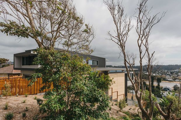 A contemporary multi-level hillside home viewed from the landscaped side yard. The building features dark horizontal cladding, broad overhanging roof planes, louvred and framed windows, and a warm timber privacy fence. Tall slender trees and shrubs partially screen the house, while a residential valley and waterway or inlet are visible in the distance beneath an overcast sky.