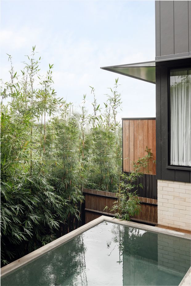 A compact courtyard pool beside a contemporary home, surrounded by dense bamboo planting and timber screening. The building features dark vertical cladding, a projecting flat roof canopy, large glazed window with curtains, and a pale brick lower wall. The pool reflects the surrounding greenery and architecture.
