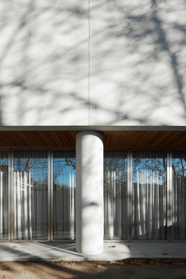 Exterior architectural photograph of a contemporary pavilion or building facade, featuring a large smooth white cylindrical column beneath a projecting roof. Full-height glazed doors or windows span the background, reflecting trees and blue sky. The underside of the canopy has warm timber slatted lining, while strong dappled tree shadows fall across the white upper facade, glazing, column, and concrete pavement.