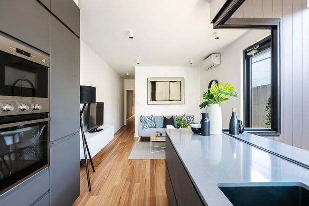 Bright, contemporary open-plan kitchen and living area viewed from the kitchen island. The kitchen has tall matte-grey integrated cabinetry with built-in black appliances, a large pale stone island benchtop, and a deep undermount sink. Warm timber flooring runs through the space toward a compact living area with a sofa, television, and framed artwork. Large dark-framed glazing and a partially open glazed roof or skylight bring in abundant natural light. The palette is restrained and modern with greenery and dark decorative accents.
