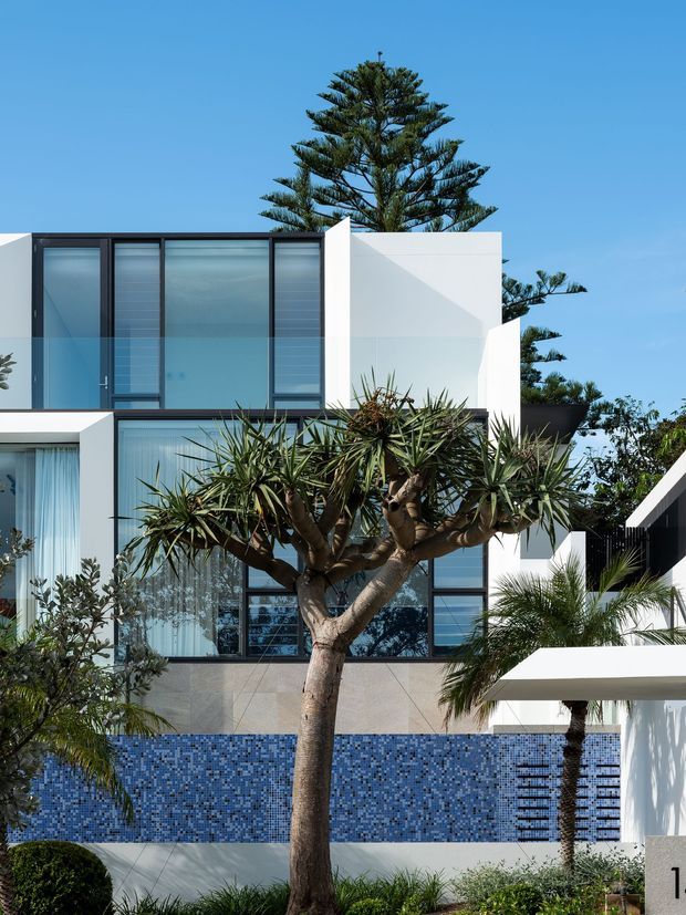 A bright contemporary multi-storey residence with crisp white rendered walls, extensive dark-framed glazing, and strong geometric volumes. Tropical and subtropical landscaping, including sculptural yucca-like trees and palms, frames a blue mosaic-tiled water feature or pool wall in the foreground. The facade has a clean, resort-like coastal character under a clear blue sky.