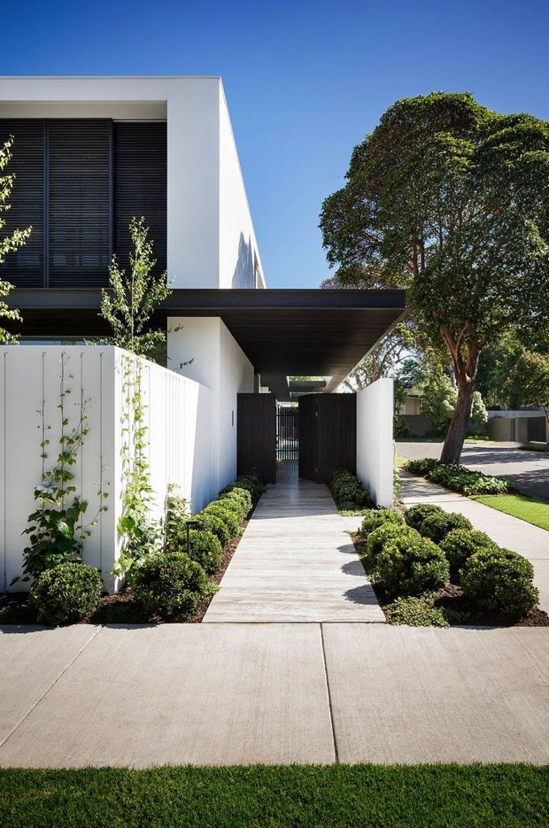 Street-facing view of a contemporary two-storey residence with crisp white rendered walls, dark horizontal window louvres, a broad flat projecting canopy, and a landscaped pedestrian entry. A pale paved path leads through dark timber gates, bordered by clipped shrubs, climbing plants, lawn, and mature street trees.