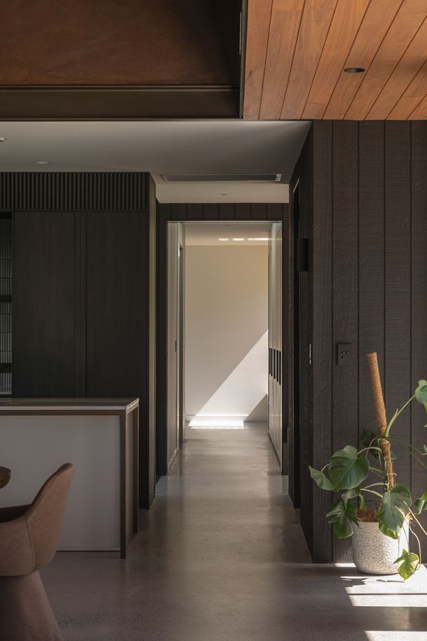 A moody contemporary interior hallway leading toward a bright stairwell or landing. The space features dark vertical timber wall panelling and built-in cabinetry, a warm timber-lined ceiling, polished concrete flooring, recessed lighting, and a potted plant. A partial dining or living area with an upholstered chair and built-in counter is visible at left.