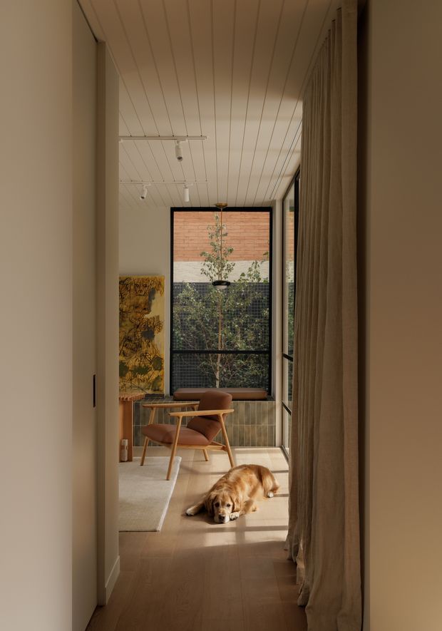 A warm, narrow residential interior viewed from a hallway, opening into a sunlit sitting area. The space features a timber-framed lounge chair, built-in window bench, full-height glazing, pale timber flooring, vertical timber wall panelling, a white lined ceiling, and floor-to-ceiling curtains. A small dog is resting on the floor. Through the glazing, a brick wall and planted courtyard are visible.