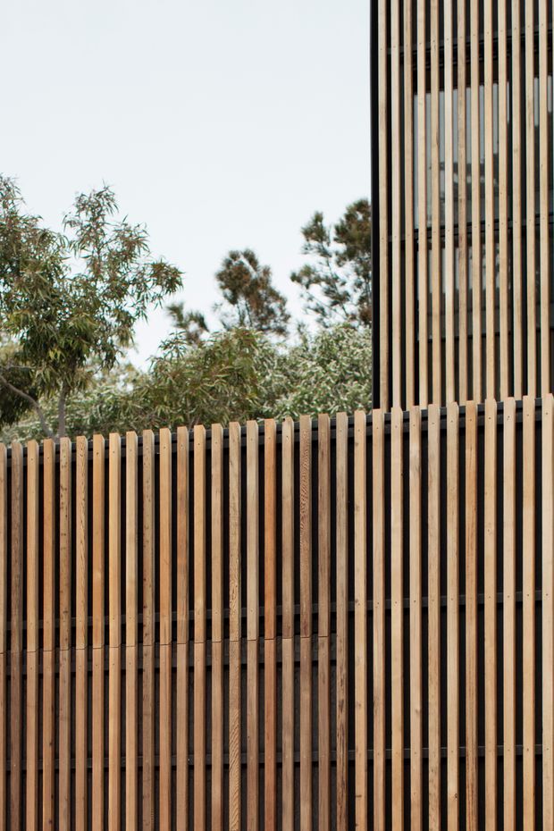 Close-up exterior view of a contemporary building facade and boundary fence using repeated vertical timber slats. The warm timber screening creates a strong linear rhythm, with glimpses of glazing behind the upper facade and leafy vegetation in the background.