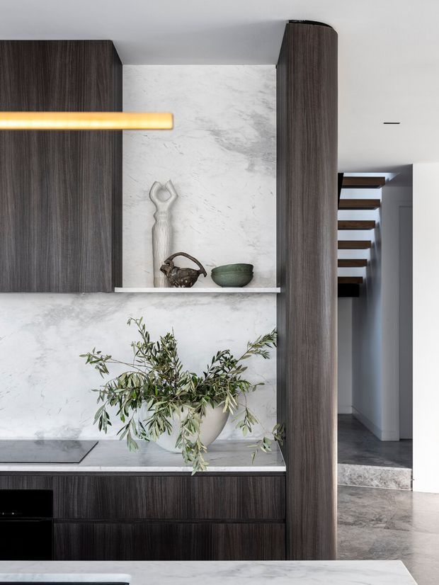 A refined contemporary kitchen interior featuring dark vertically grained timber cabinetry, a pale marble-look stone backsplash and benchtop, and integrated open shelving displaying sculptural ceramics. A large potted olive branch provides an organic accent. The kitchen opens toward a hallway and floating timber stair treads, with a linear pendant light and recessed ceiling lighting.