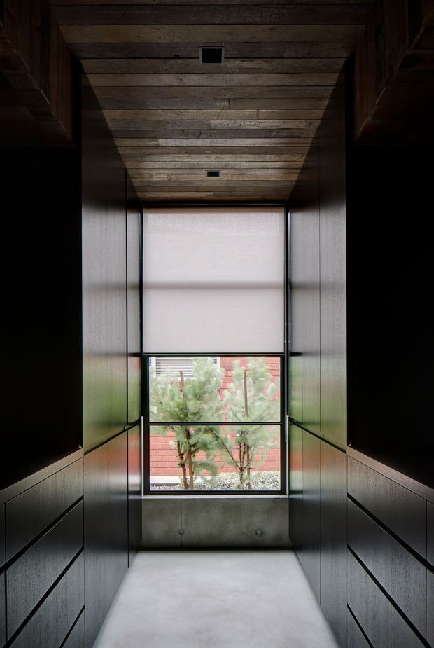A narrow, vertically proportioned interior passage or stairwell with dark timber plank ceiling, charcoal built-in wall panelling, and a smooth pale concrete floor. A tall window at the end, partly covered by a translucent blind, brings in filtered daylight and frames trees and a red-tiled roof outside. The space has a restrained, tactile, contemporary architectural character with strong symmetry and deep shadows.