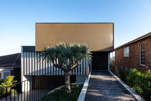 Exterior view of a contemporary multi-level residence on a sloping site, featuring a large textured tan upper facade, dark recessed entry, vertical metal screening, and a raised walkway with black railings. A sculptural yucca-like tree occupies the landscaped foreground, with neighbouring brick housing visible to the side.