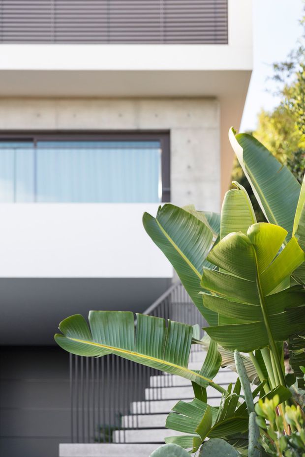A close architectural exterior view of a contemporary multi-level residence, featuring white rendered walls, exposed concrete framing, dark metal horizontal screening, large glazed windows, and a dark external stair or balcony structure. Lush tropical foliage dominates the foreground, partially obscuring the building.