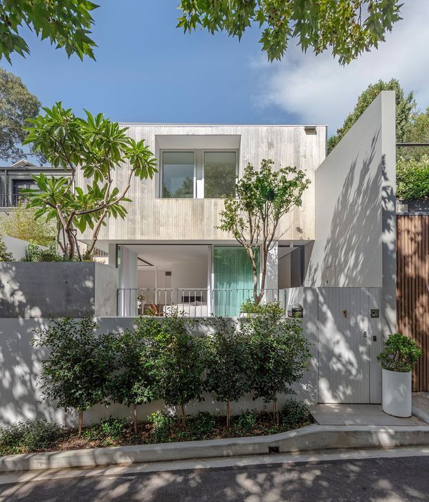 Street-facing view of a compact contemporary two-storey residence with a pale vertically textured facade, large rectangular windows, a recessed ground-floor terrace, and a tall angled privacy wall. The home is framed by mature landscaping, clipped shrubs, potted plants, and a timber privacy fence, with a pedestrian gate opening onto the sidewalk.