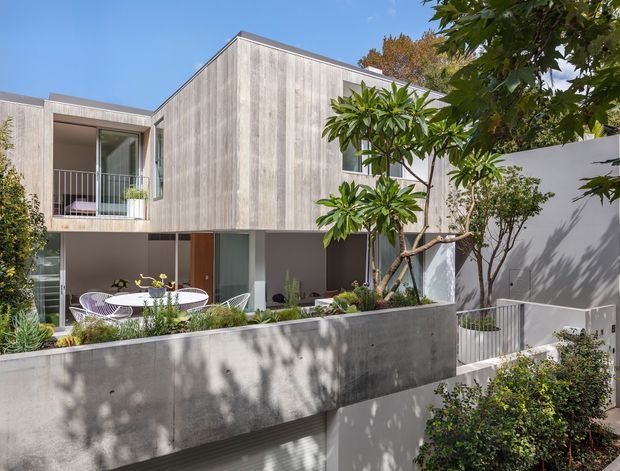 Exterior view of a contemporary multi-level residence with a projecting upper volume clad in vertically textured light timber, recessed glazing, balconies, and a landscaped elevated terrace. The home features smooth concrete retaining walls, white rendered boundary walls, metal balustrades, and a strong indoor-outdoor connection. Mature planting and sunny daylight soften the rectilinear architectural form.