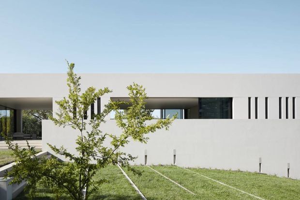 Exterior view of a minimalist contemporary house with a long, low flat roof, crisp white rendered walls, dark-framed glazing, and a linear lawn in the foreground. A mature slender tree partially screens the facade, while a covered outdoor area and recessed entry or living spaces are visible behind the low wall.