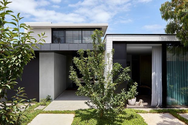 Exterior view of a contemporary, flat-roofed residence arranged around a landscaped front garden and concrete-paved walkway. The facade combines smooth light render, dark metal or painted panels, broad glazing with horizontal blinds, and a recessed entry with a sheer curtain. Low planting and mature trees soften the geometric forms.