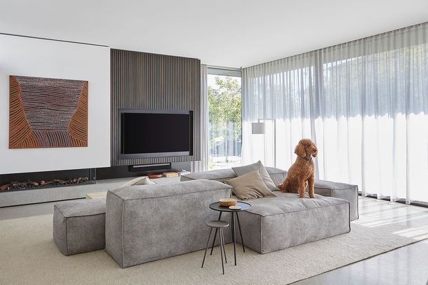 Bright contemporary living room with a large grey sectional sofa arranged around a low side table and wall-mounted television. The room features floor-to-ceiling sheer curtains, extensive glazing, a dark vertical slatted media wall, a linear fireplace, pale flooring, and abstract wall art. A dog is present on the sofa.