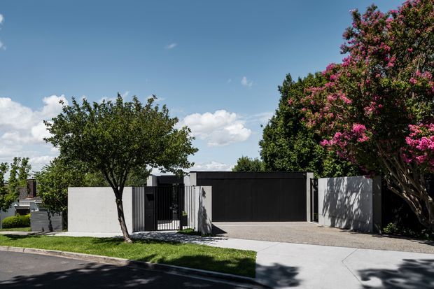 Street-facing view of a contemporary single-storey residence with a minimalist, low-profile facade. The property features smooth light-grey rendered boundary walls, a dark metal garage door and pedestrian gate, a broad concrete driveway, and mature landscaped trees including flowering shrubs. The composition is clean and geometric with strong contrast between pale walls and dark openings.