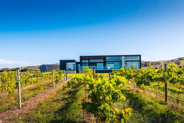 A low, contemporary flat-roofed home set among vineyard rows in a dry, rolling rural landscape. The building has strong rectilinear volumes, dark metal framing, extensive floor-to-ceiling glazing, and a mix of dark and light exterior cladding. Bright sunlight and clear blue sky dominate the scene.