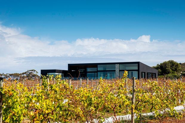 Contemporary single-storey dark-clad house photographed from across a vineyard, with broad glazed openings, a strong horizontal roofline, and a flat-roofed architectural form. Autumnal vines occupy the foreground and trees sit behind the building under a bright blue sky.