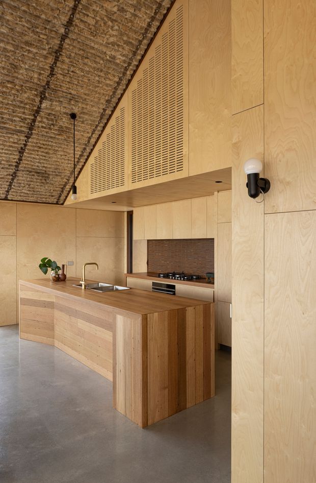 A warm, wood-lined contemporary kitchen with a large timber island, integrated sink and brass-toned tap, and built-in cooktop and oven. Floor-to-ceiling plywood cabinetry forms the walls and overhead ventilation panels, while a textured exposed natural-fibre ceiling adds strong visual character. The space has a polished concrete floor, a dark brick backsplash, minimalist black wall lighting, and a high sloping ceiling.