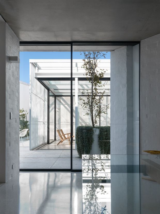 A minimalist modern interior opening onto a bright enclosed courtyard. The view is framed by black-framed full-height glazing and doors, with white textured masonry walls, a smooth concrete ceiling, and a highly reflective pale floor. Outside, a glazed garden pavilion, tiled paving, a potted tree, clipped shrubs, and timber lounge chairs are visible. The space is crisp, light-filled, and strongly connected to the courtyard through transparent glazing.