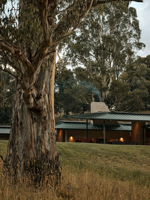 A low, contemporary pavilion-like house is viewed through a large eucalyptus woodland. The building has dark green metal pitched roofs with broad overhangs, warm timber-clad walls, exposed brick chimneys, extensive dark-framed glazing, and softly illuminated outdoor or interior living areas. A gently sloping, dry grass foreground and mature native trees create a secluded bush setting. The overall image has a subdued, warm dusk atmosphere.