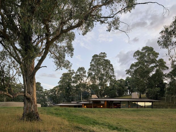 A low, single-storey modern residence set within a broad, gently sloping grassy landscape surrounded by mature eucalyptus trees. The house has a long horizontal form, dark low-pitched roof, extensive floor-to-ceiling glazing, and warm illuminated interiors visible through the windows. The scene is photographed from outdoors in soft, overcast light, with the building integrated into a wooded suburban or rural setting.