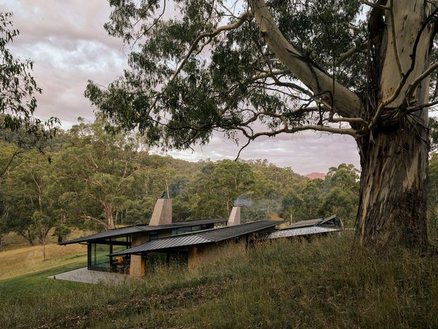 A low-profile contemporary house nestled into a wooded, sloping landscape. The building has long dark metal roof planes, extensive floor-to-ceiling glazing, exposed dark structural framing, and two masonry chimney forms. A large eucalyptus tree dominates the foreground, with dense native bushland surrounding the property under a softly overcast sky.