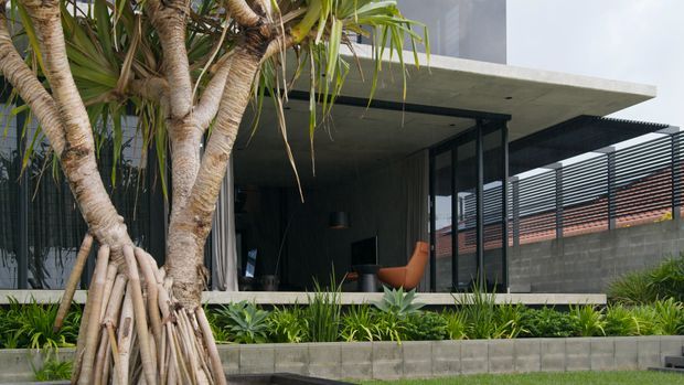 Contemporary flat-roofed residential exterior with a deep covered outdoor living area, dark textured walls, extensive black-framed glazing, and horizontal privacy screening. A raised concrete garden bed with tropical planting fronts the open living space, while a large feature tree dominates the foreground.