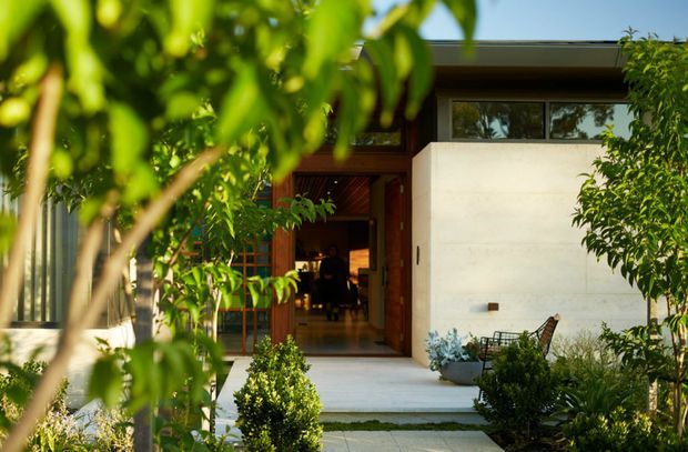 A contemporary residential entrance viewed from a lush landscaped garden. The home features a broad pale rendered wall, timber-framed glazed entry, clerestory-style upper window, flat roofline, and a paved path leading to the recessed front door. Dense greenery partially frames the facade, with a small outdoor chair and potted planting near the entry.