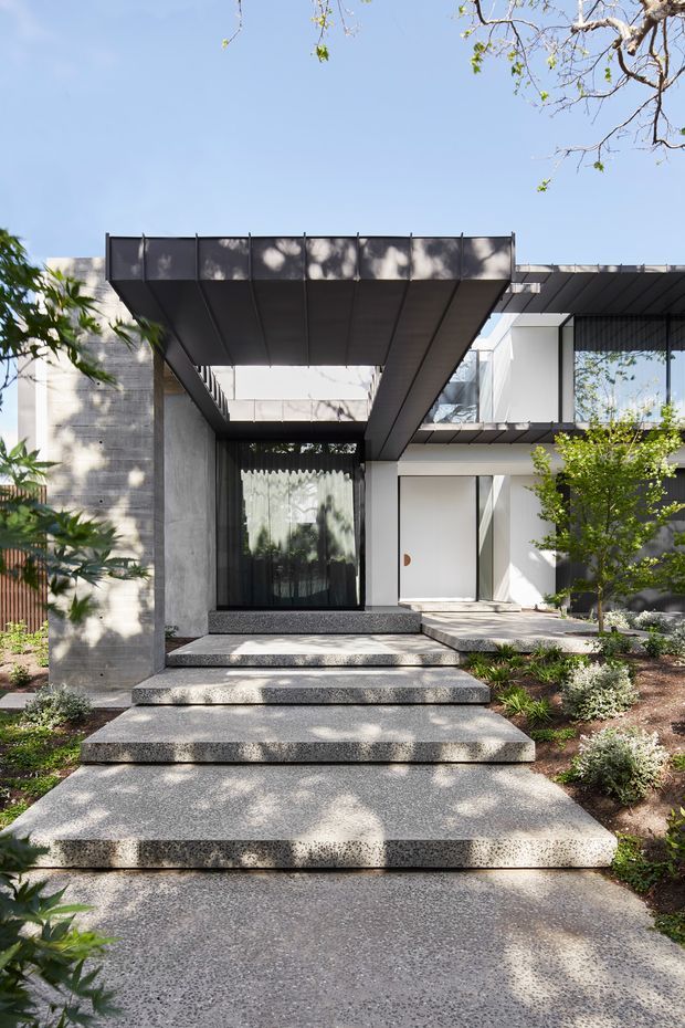 Front exterior view of a contemporary multi-level residence with a strong cantilevered dark metal roof canopy over the entry. Broad terrazzo-like concrete steps lead through a landscaped garden to a glazed entry door, with exposed concrete walls, white rendered walls, dark-framed glazing, and projecting upper-level forms. Bright daylight and tree shadows create a crisp, modern architectural composition.