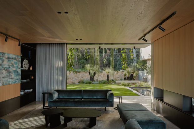 A contemporary living room with a dark velvet sofa and matching ottoman seating, low rounded coffee tables, timber wall and ceiling finishes, dark built-in shelving, and a large full-width glazed opening overlooking a landscaped garden. Track lighting and concealed cabinetry create a refined, warm interior with a strong indoor-outdoor connection.
