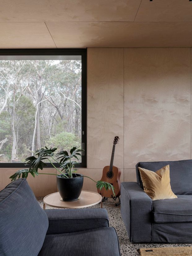 A compact, warmly lit living room with full-height pale timber plywood wall and ceiling panels, dark-framed picture glazing overlooking trees, charcoal upholstered sofas and armchairs, a round timber coffee table, a potted indoor plant, and an acoustic guitar. The space has a natural, restrained and contemporary cabin-like character.