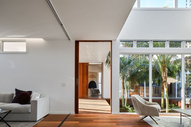 Bright contemporary interior with a partially visible living room opening toward a timber-floored circulation area and a large glazed courtyard-facing facade. White walls and ceiling, warm timber flooring and door frames, clerestory glazing, and indoor palms create an airy connection to the landscaped exterior. A large light-coloured sofa and sculptural lounge chair furnish the space.