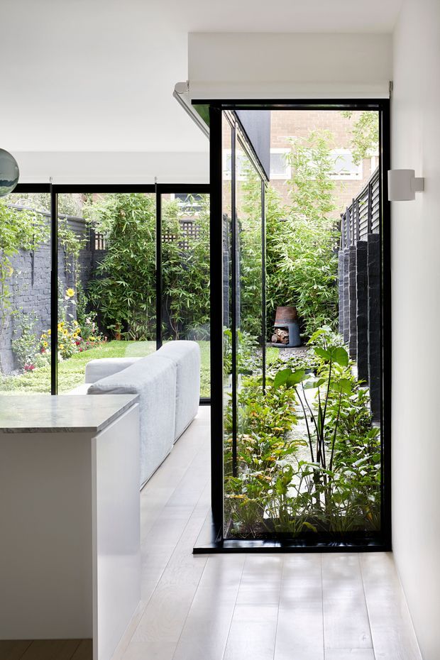 Bright contemporary interior looking through full-height black-framed glazing and an open glass door toward a lush planted courtyard. A white kitchen island with a pale stone benchtop occupies the foreground, while a light sofa and pale timber flooring continue into the adjoining living area. The courtyard has dark masonry boundary walls, dense greenery and garden planting, creating a strong indoor-outdoor connection.