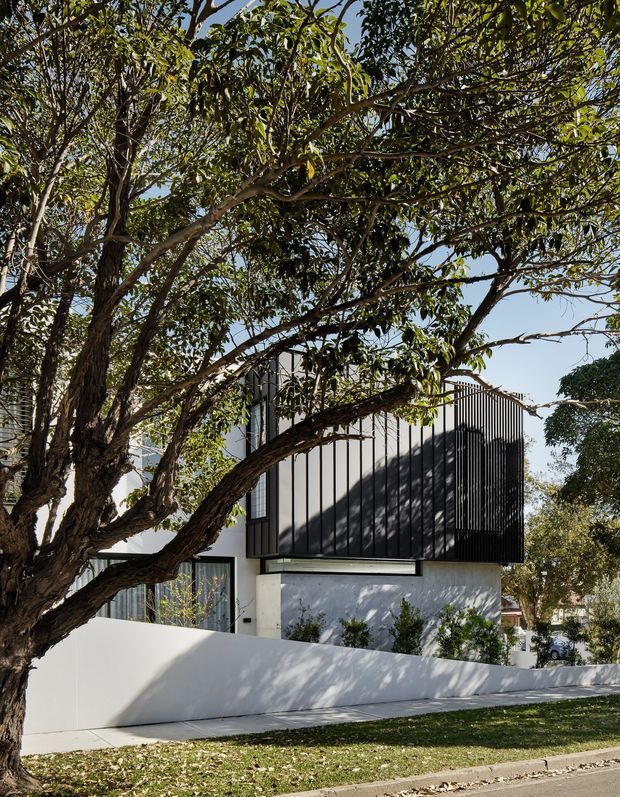 A contemporary two-storey residential facade viewed from the street, partially framed by a mature leafy tree. The house combines crisp white rendered walls with a prominent dark vertically ribbed upper-level facade, large windows, and a low white boundary wall. Landscaping and dappled shadows soften the geometric exterior.