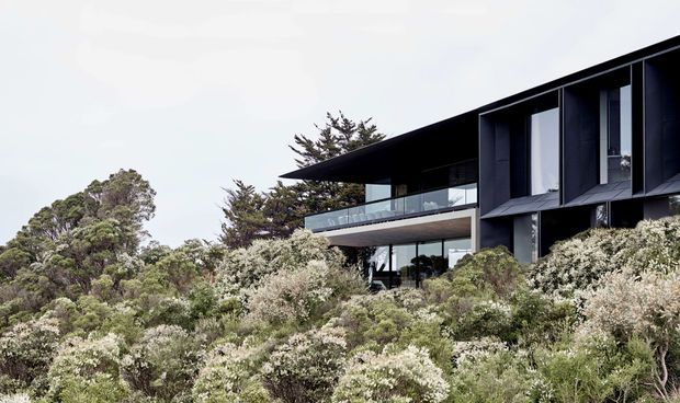 Exterior view of a contemporary multi-level residence set into dense native vegetation. The dark, sharply angular facade features extensive glazing, a projecting upper volume, and a glass-balustraded balcony/terrace overlooking the landscaped site.