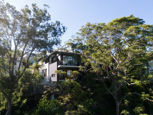Exterior view of a modern multi-level home nestled among dense mature trees on a sloping, heavily landscaped site. The dwelling has dark horizontal cladding, extensive glazing, projecting balconies, and a low-pitched roof, with the surrounding vegetation partially screening the building.