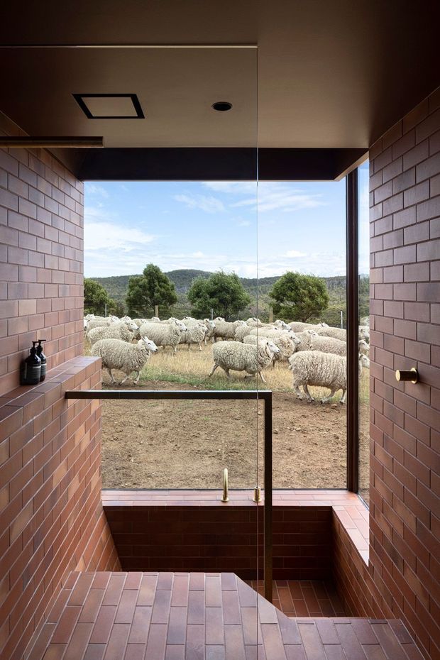A compact, dark-toned brick-lined bathroom with a deep sunken bathtub in front of full-height glazing. A frameless glass balustrade separates the bath area from brick steps, while the expansive opening looks onto a rural landscape with a flock of sheep. Recessed ceiling lighting and bronze-toned fittings add restrained contemporary detailing.