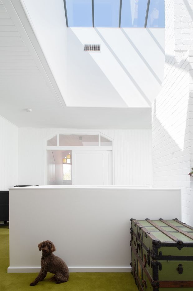 Bright white interior with a large glazed skylight casting strong linear shadows across the walls and ceiling. The space features white vertical wall panelling, a white-painted brick wall, a partial-height partition, and an interior doorway with glazed transom panels. A green vintage trunk and a dog occupy the foreground; a vivid green floor covering adds contrast.