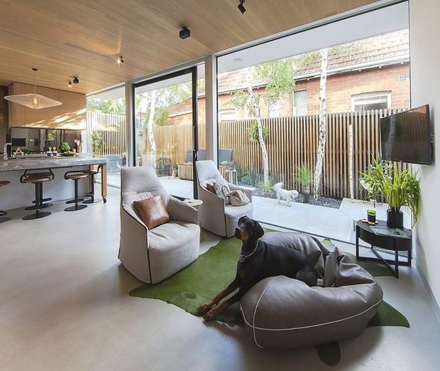 Open-plan contemporary living room with a kitchen visible at left, furnished with sculptural upholstered lounge chairs, a rounded dog bed, side tables, and a wall-mounted television. Full-height black-framed glazing opens the room to a small planted courtyard, while a warm timber-lined ceiling and polished pale floor create a bright, relaxed interior.