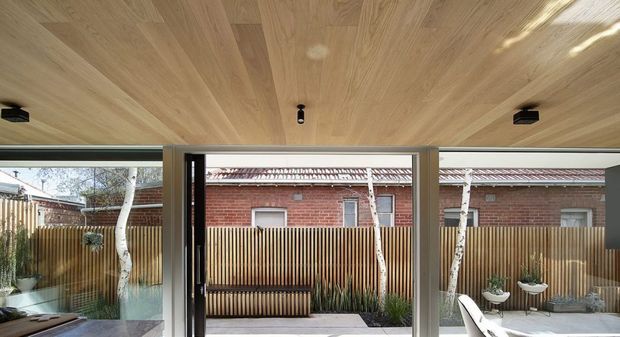 A contemporary indoor-outdoor living space viewed through wide floor-to-ceiling glazing and an open central door. The room has a warm timber-lined ceiling, dark minimal window and door frames, and a paved courtyard beyond with vertical timber screening, built-in bench seating, sculptural white-barked trees, and a neighbouring red-brick structure.