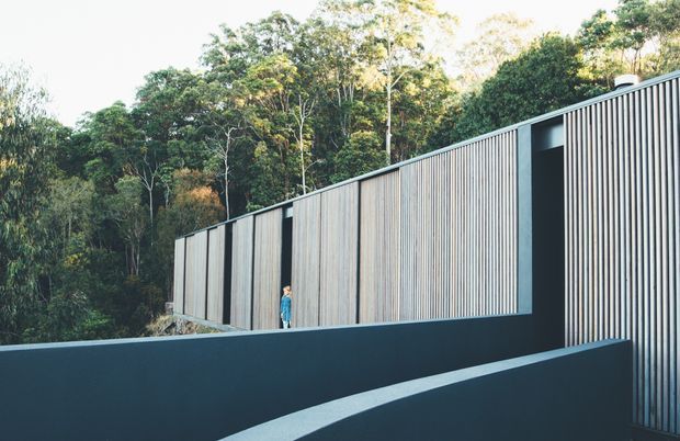 Exterior view of a long, low modern building set within dense bushland. The facade combines dark charcoal walls and regularly spaced vertical light timber battens, with narrow recessed openings and a gently curving dark retaining wall in the foreground. A person provides scale. The composition emphasises linear geometry, restrained materials, and integration with the wooded landscape.
