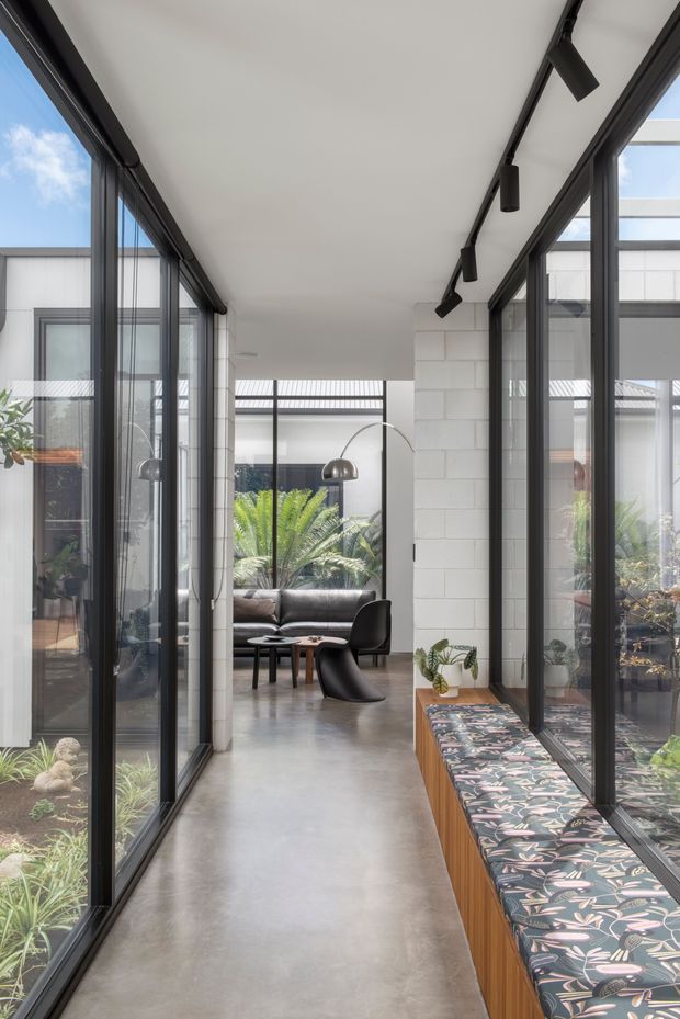A bright, narrow glazed interior corridor or gallery links to a contemporary living area. Full-height black-framed glazing runs along both sides, opening views to planted courtyards and adjacent white masonry walls. The space has a smooth polished concrete floor, white ceiling, black track lighting, and a long timber built-in window seat upholstered in a patterned botanical fabric. A grey sofa, sculptural black lounge chair, and arched floor lamp are visible at the far end.