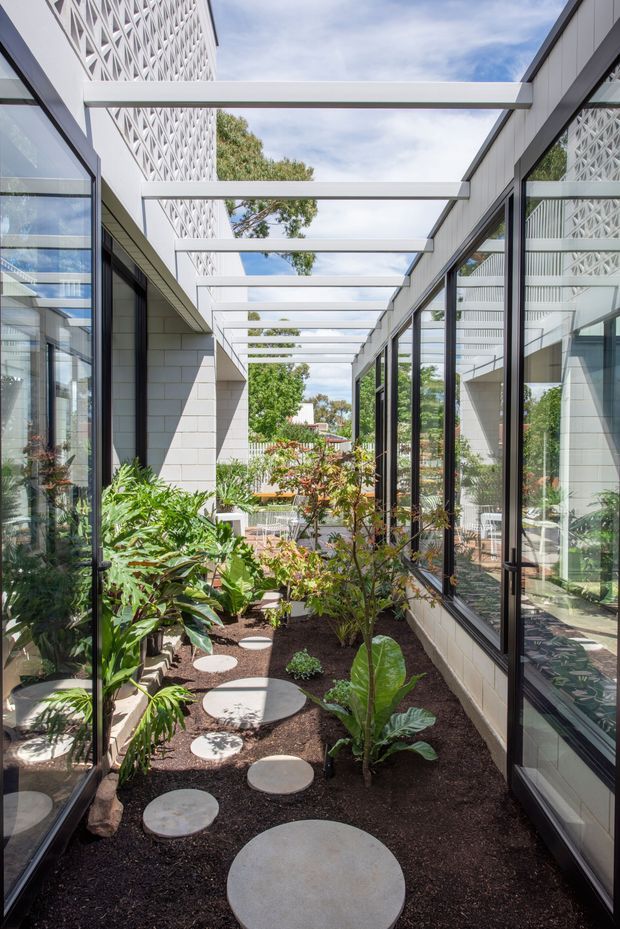 A bright, narrow planted courtyard or internal garden running between two contemporary glazed building wings. Full-height black-framed glazing reflects the patterned facade opposite, while a white overhead pergola or series of horizontal beams creates a covered connection. Dark soil beds, lush tropical foliage, shrubs, and circular concrete stepping stones define the landscape. The scene has a clean, modern architectural character with strong indoor–outdoor visual connection.