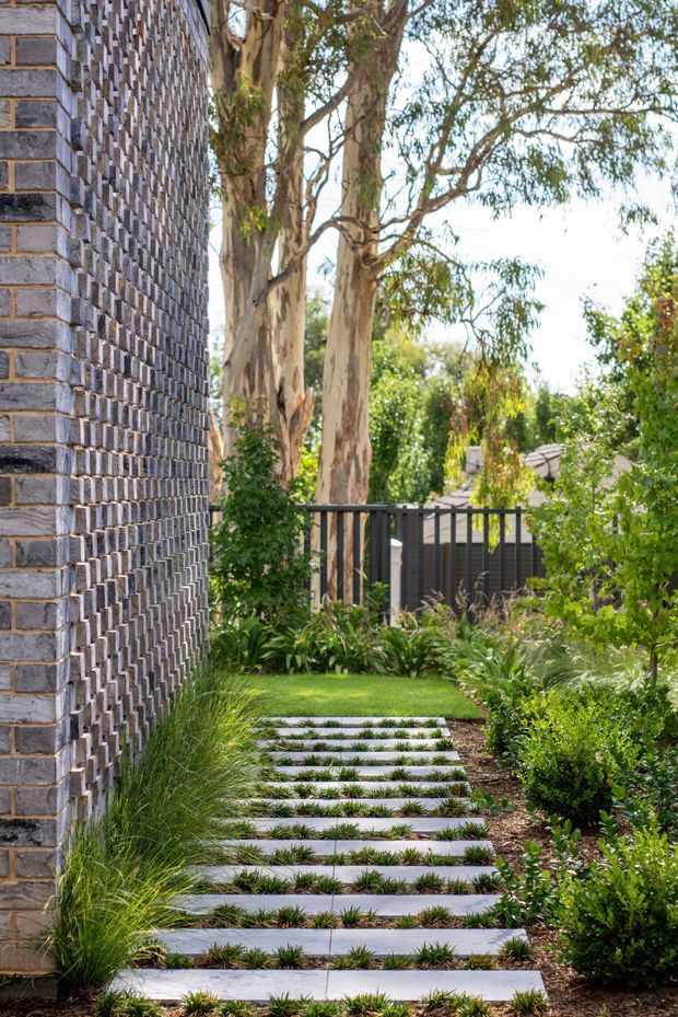 A landscaped garden walkway beside a tall grey brick wall. Broad pale rectangular stepping slabs are set in gravel and low grass, leading toward a lawn and dark slatted fence. Dense planting, ornamental grasses, shrubs, and mature eucalyptus trees create a lush residential garden setting.