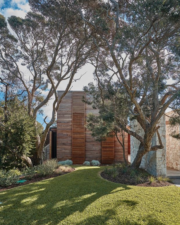 A landscaped residential exterior viewed through mature trees, featuring a compact contemporary building clad in horizontal timber boards with vertical timber screening elements. A pale rough-stone wall and entry structure sit to the right, while a carefully planted garden and lawn form the foreground. The architecture is partially obscured by dense tree canopy and appears integrated into a leafy suburban or bush setting.