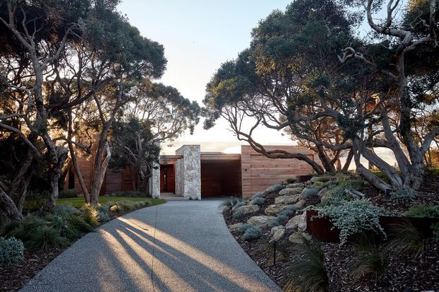 A landscaped residential entrance approached by a gently curving light-coloured path. The low, horizontally composed house is partially screened by mature sculptural trees and dense native-style planting. Visible architectural elements include warm horizontal timber cladding, a pale rough stone-clad wall, a recessed dark timber entry door, and a broad sheltered opening or garage-like bay. The scene has a natural, private, low-profile character with strong late-day shadows.