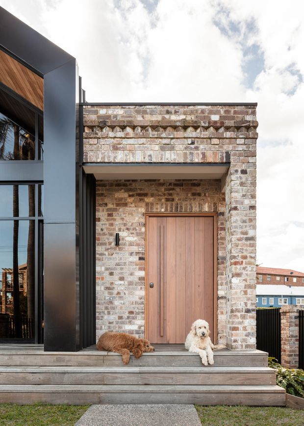 Contemporary residential entrance with a recessed timber front door set into a textured exposed-brick facade. Dark metal cladding and large glazed openings contrast with the warm brick and timber, while broad timber steps lead up from a small front path. Two dogs sit on the entry steps. Other residential buildings are visible in the background.